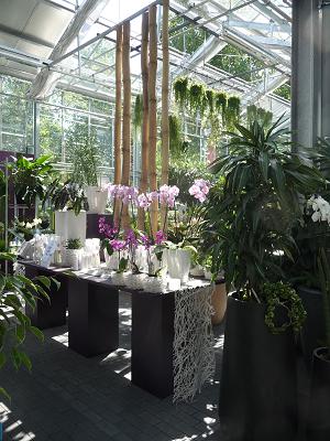Koch & Christmann – Gärtnerei & Blumenladen (Hauptstandort)