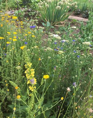 Annette Holland, Planung naturnaher Lebensräume