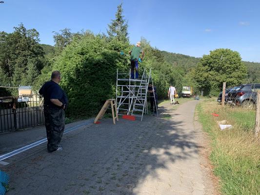 Tool Grünservice Kaiserslautern