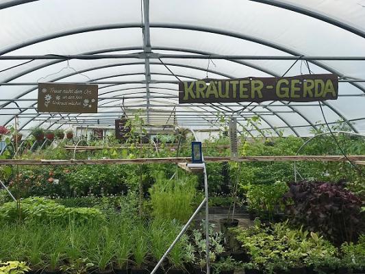 Gerda's Kräuter und Duftpflanzen