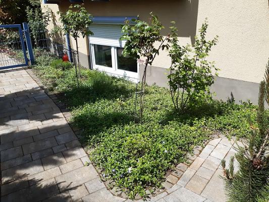 Garten- und Landschaftspflege : Steinhauer