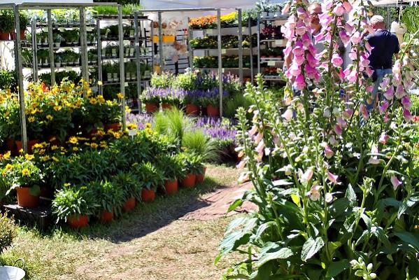 Bellheimer Gartentage