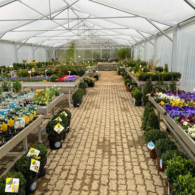 Sachsenwald Baumschule Handelsges. mbH