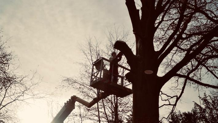 DZ Galabau Winterdienst für Privat & Gewerbe