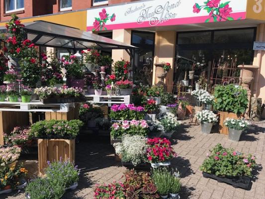 Andrea's Tausendschön