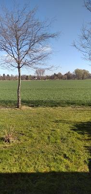 Garten- und Landschaftsbau E. Reimer Inh. Michael Brandt