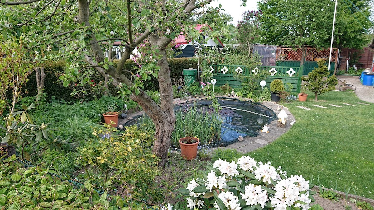 682f0da2a60ca