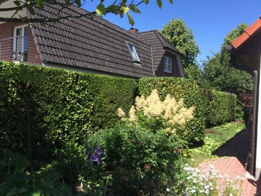 BURIMI Gartenarbeiten aller Art