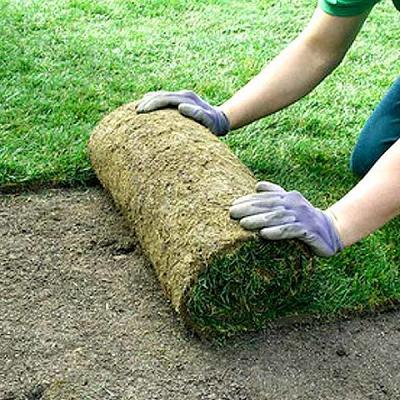 Wesserling Garten- und Landschaftsbau GmbH