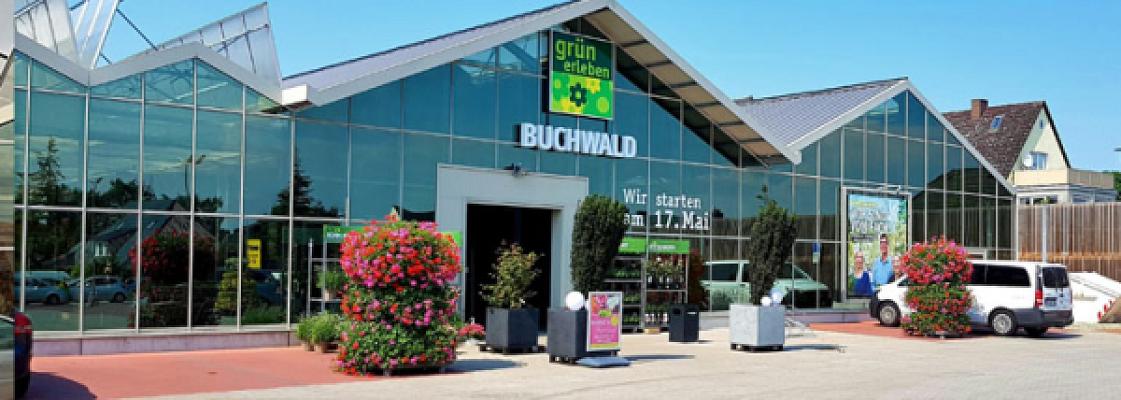 Buchwald grün erleben Stockelsdorf