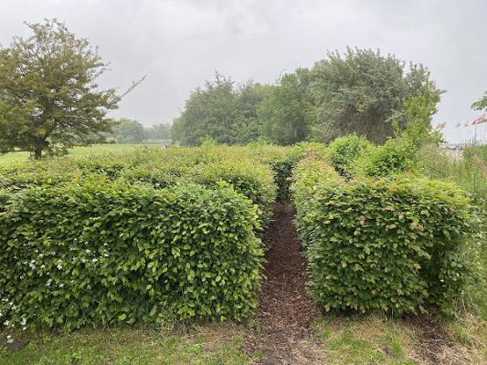Irrgarten
