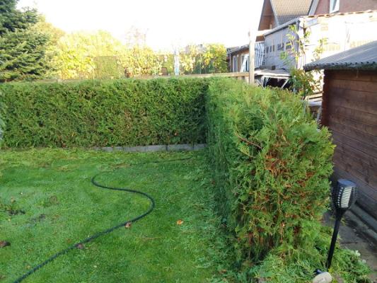 q garten