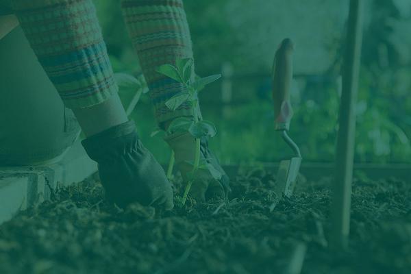 Schmidt Garten- & Landschaftsbau