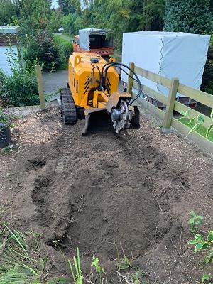 Stubbenfräsen - Baumstumpf entfernen - Garten- und Landschaftspflege