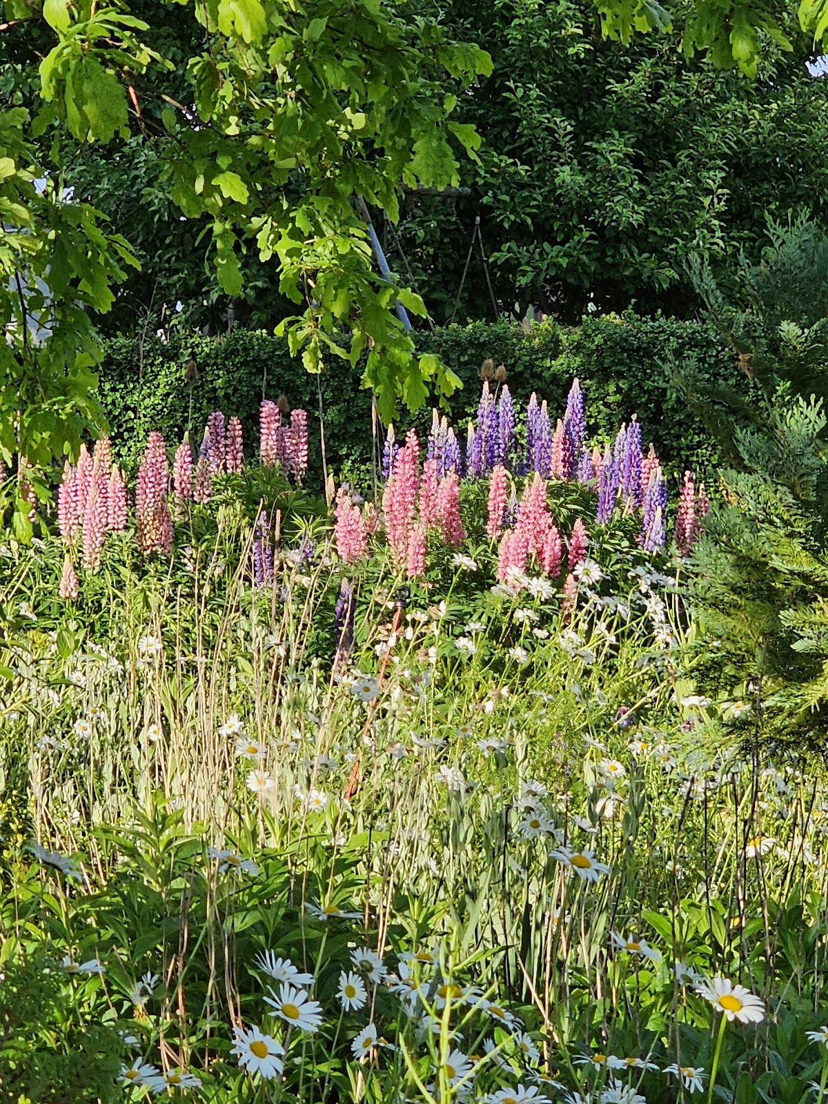 682f0fd784217