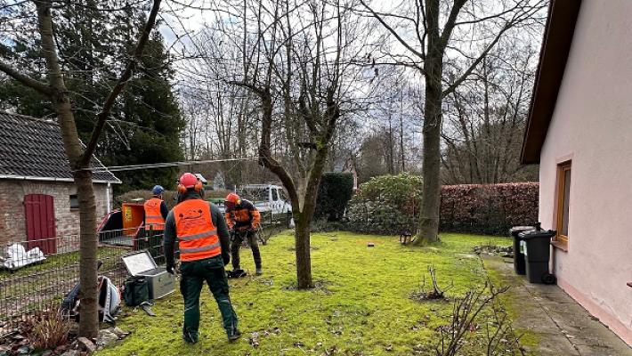 Haus & Gartenservice TONI