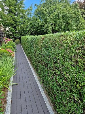 Hausmeister und Gartenservice Sopa