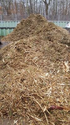 682f1025e6c53