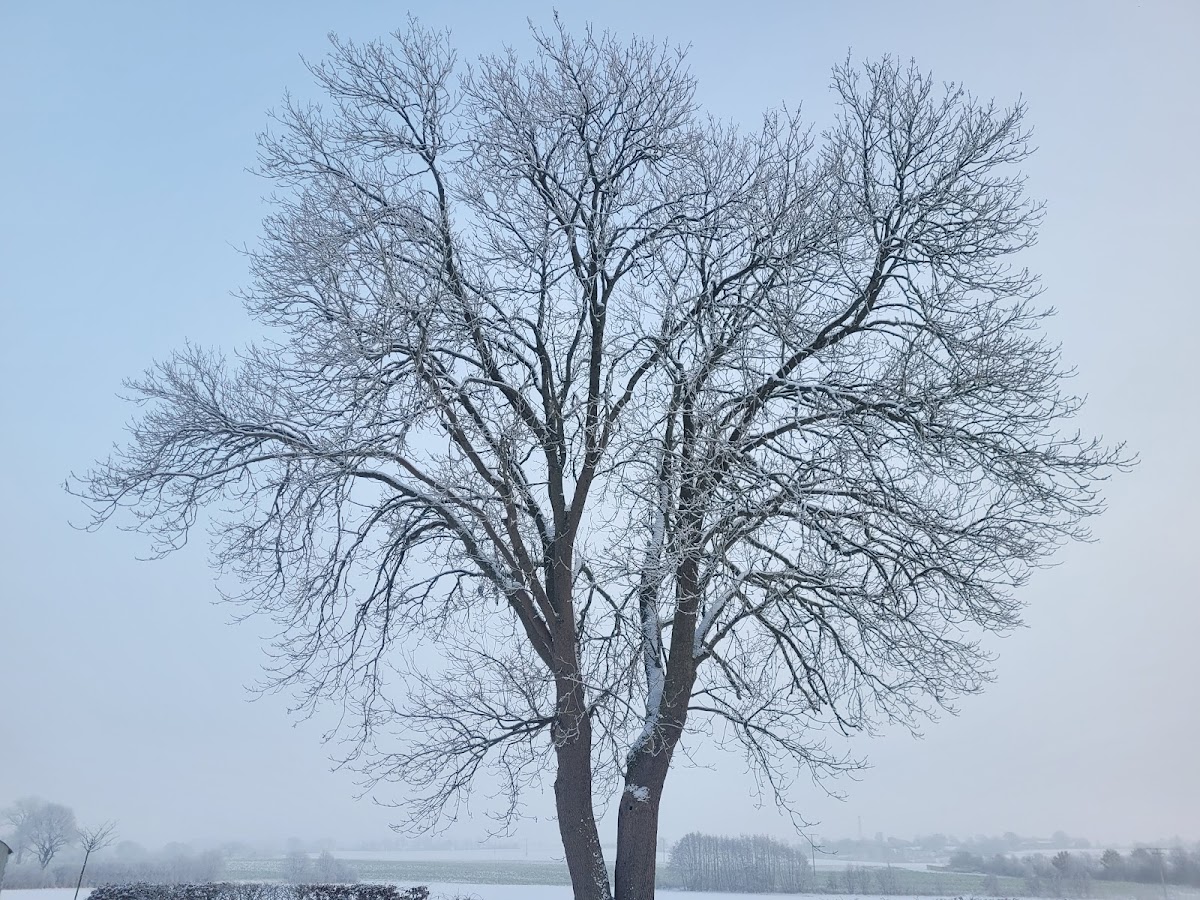 682f10338ea51
