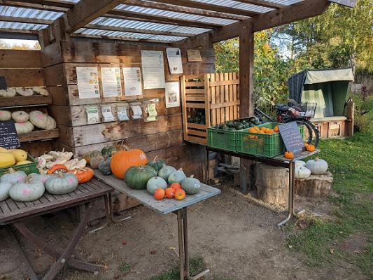 Erntegarten "Projekt Vielfalt"