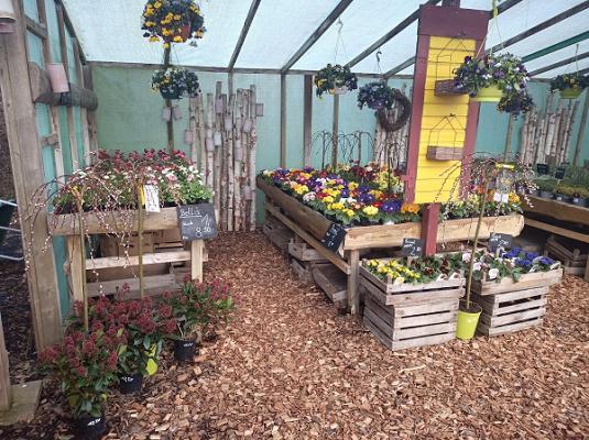 Blattschmuck Gärtnerei