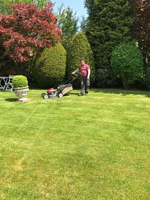 Tip Top Gartenpflege und Landschaftsbau