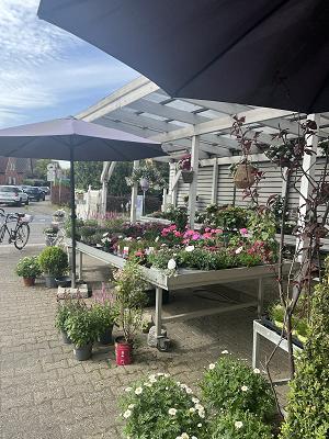 Blumenhaus Beeck-Buhrke Inhaberin Petra Beeck-Buhrke