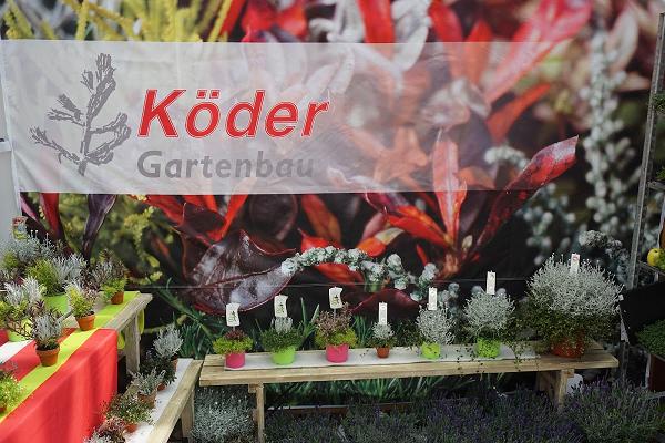 Johannes Köder