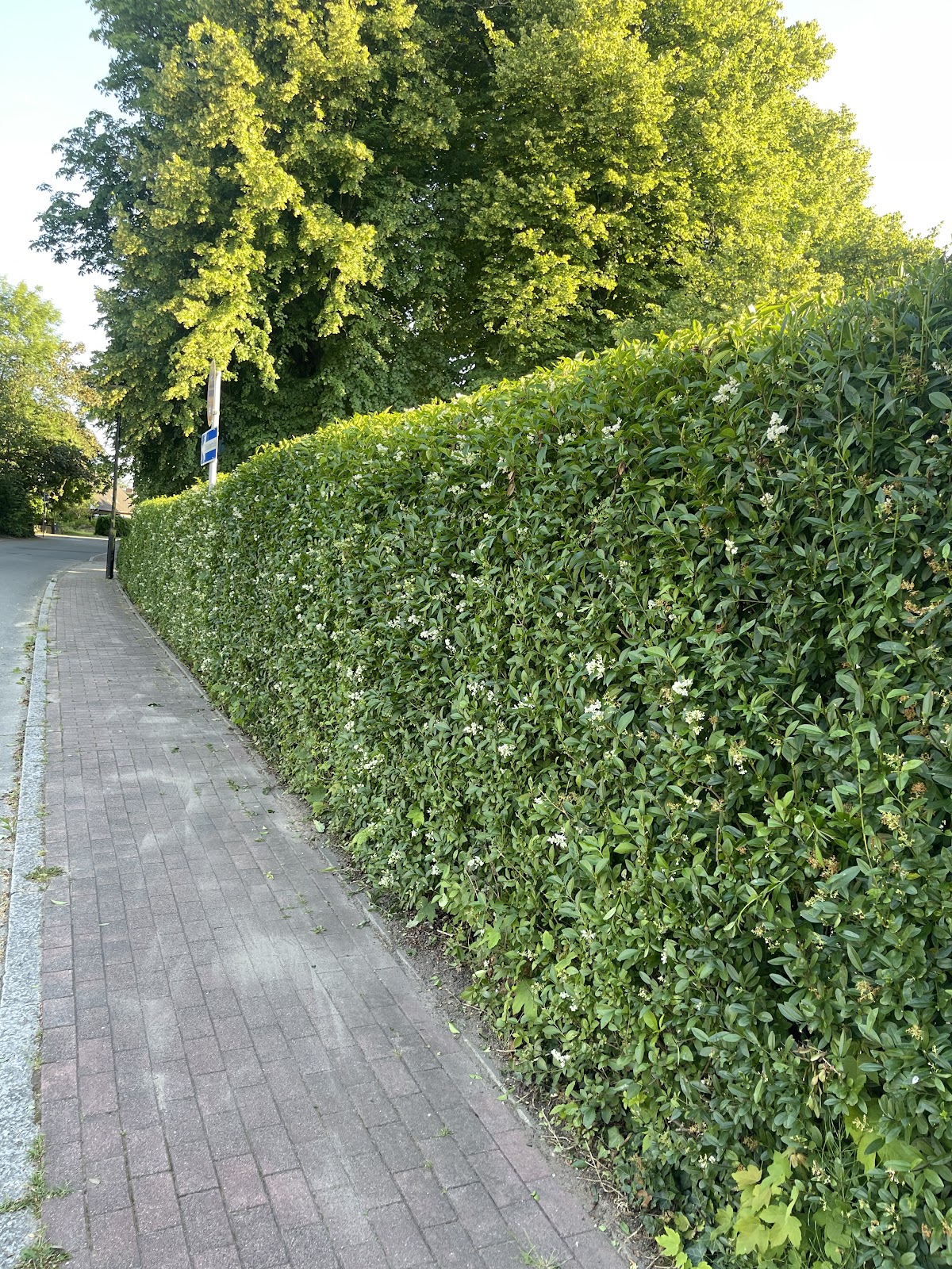 682f11530900a