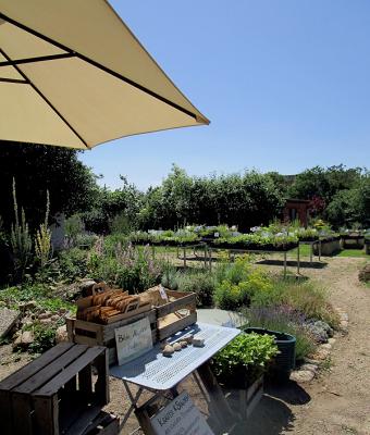 682f11ba9fa28