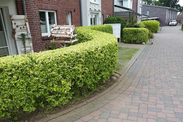 Garten und Landschaftsbau Peci