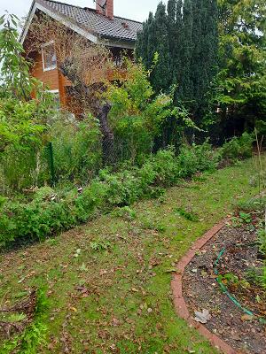 HGT Haus Garten Tiefbau Oliver Arpe