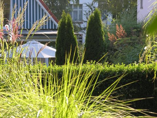 Marion Heine Gartenprojekte