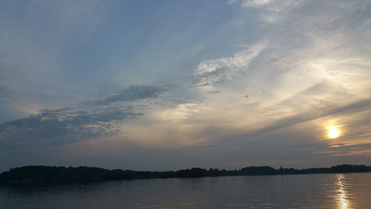682f11eb88132