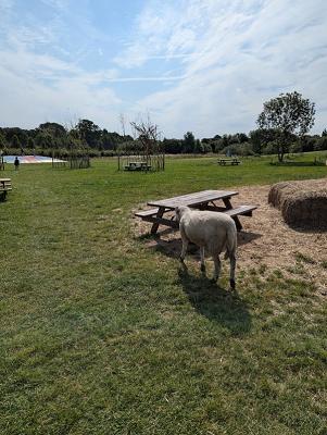 682f1206a5753