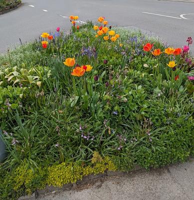 Stadtgärtnerei Eckernförde