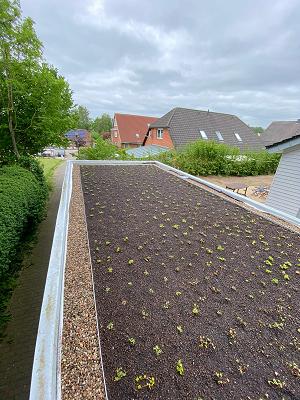 TB-Gartenreich Inh. Timo Bedürftig