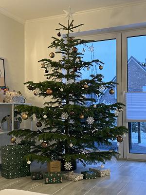 Wolfgang Schnau GmbH