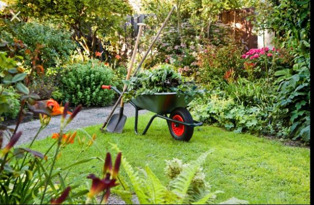 A & F Garten- und Landschaftsbau