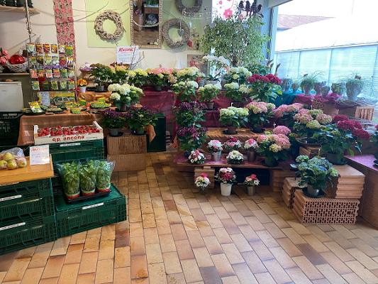 Corina's Gemüse&Blumen-Lädle