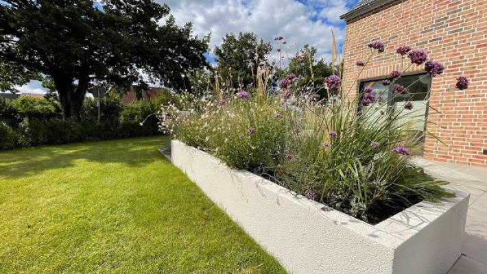 Tungendorfer Baumschulen