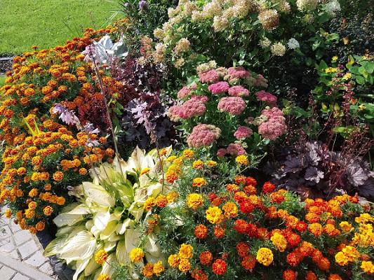 Garten - Pflasterservice Andreas Olthafer
