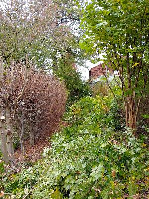 MM Gartenpflegedienst