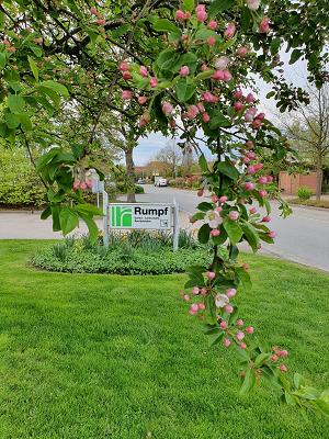 Erwin Rumpf Garten- und Landschaftsbau GmbH & Co. KG