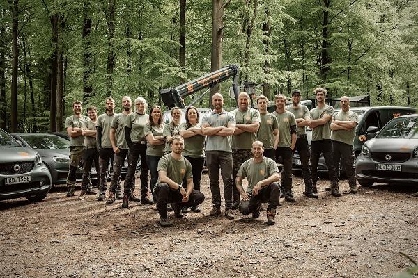 Tree Concept / Baumpflege - Baumfällung