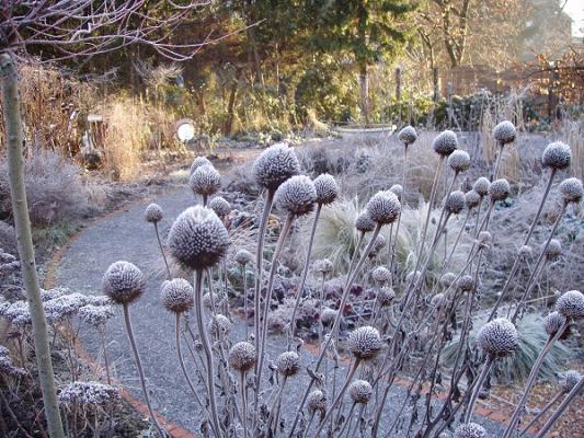 GARTEN DESIGN NOGA