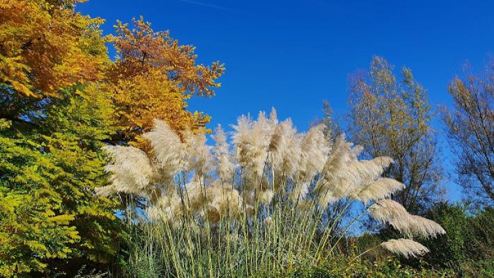 Kreisgartenbaulehrbetrieb