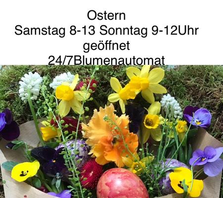 682f1905a2983