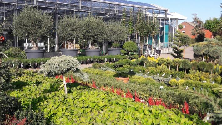 Schwalvenberg Gärtnerei & Baumschulgarten