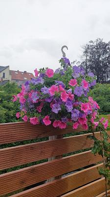 Gärtnerei Rusman